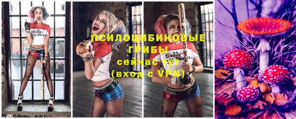 МДПВ Володарск