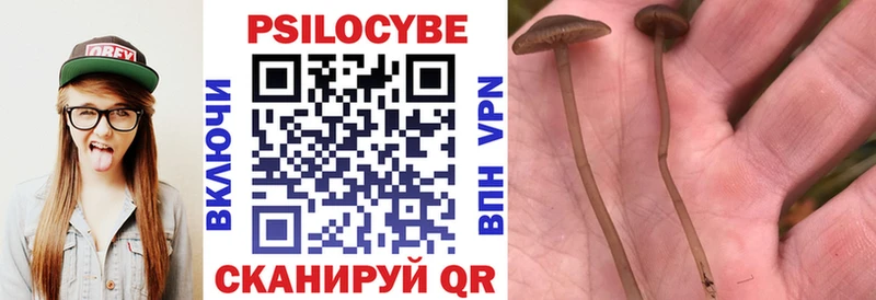 цены наркотик  omg tor  Галлюциногенные грибы мицелий  Междуреченск 